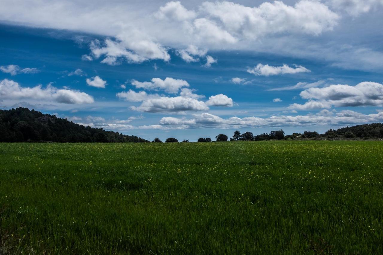 Penzion Mas De L'Arlequi Rojals Exteriér fotografie