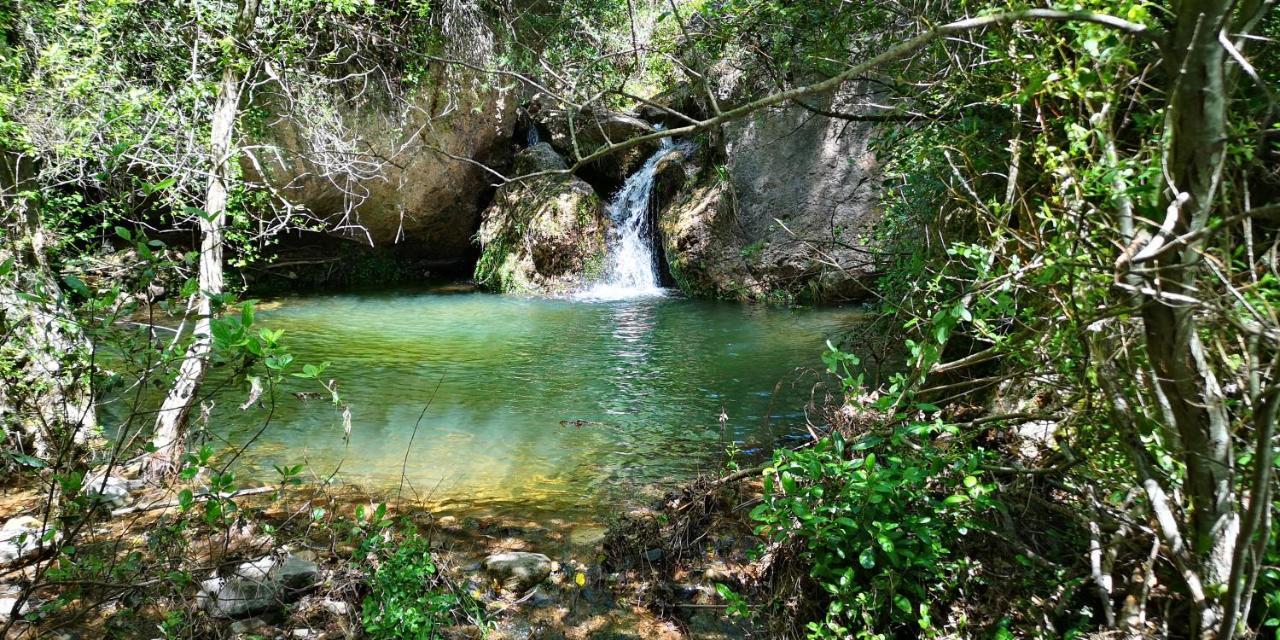 Penzion Mas De L'Arlequi Rojals Exteriér fotografie