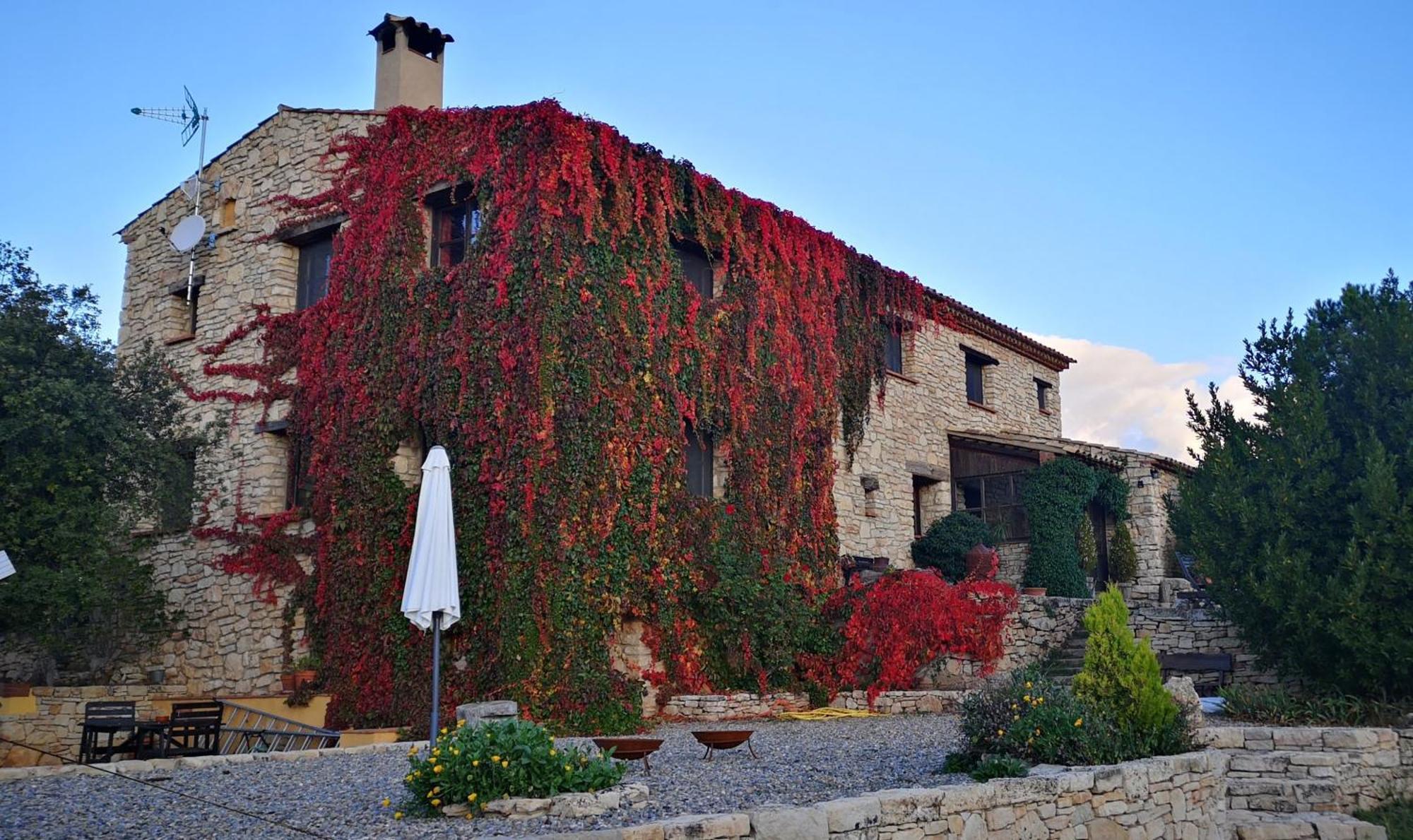 Penzion Mas De L'Arlequi Rojals Exteriér fotografie