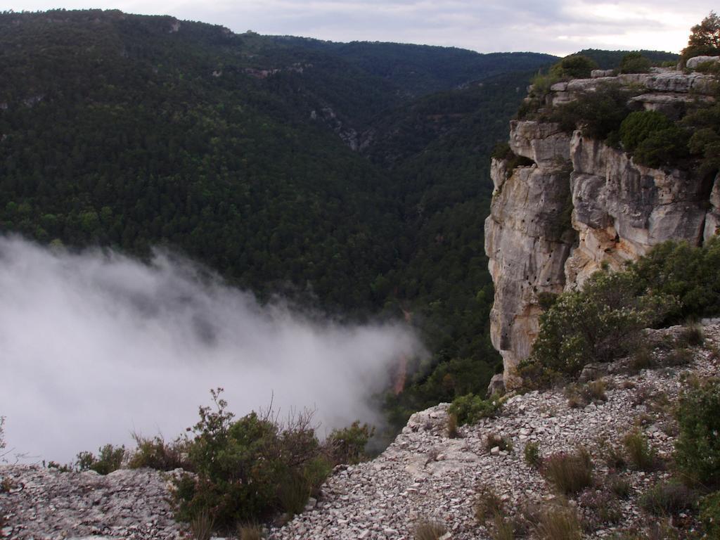 Penzion Mas De L'Arlequi Rojals Exteriér fotografie