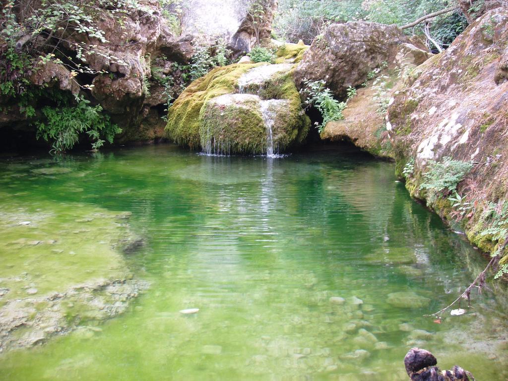 Penzion Mas De L'Arlequi Rojals Exteriér fotografie