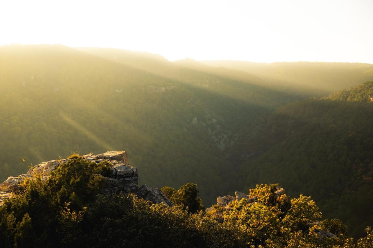 Penzion Mas De L'Arlequi Rojals Exteriér fotografie